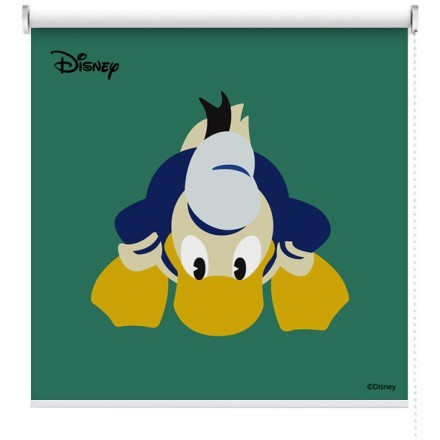 Donald Duck !!!