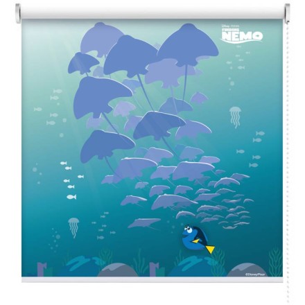 Dory and Skates, Finding Dory!