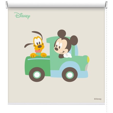 Mickey Mouse  & Pluto