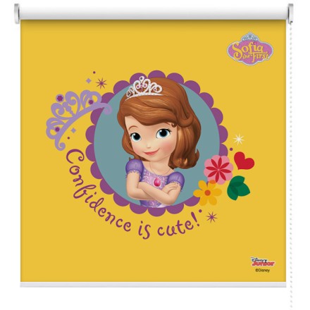 Confidence is cute, Sofia The First