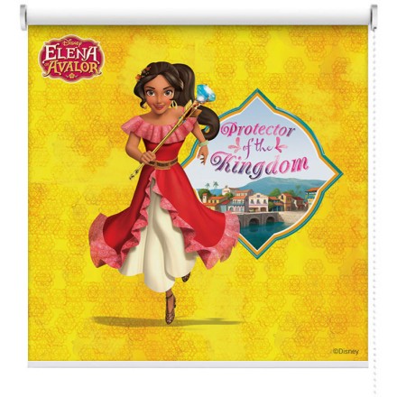 Protector of the kingdom, Elena Of Avalor