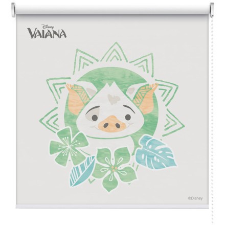 Pua , Moana