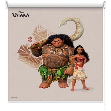 Moana and Maui !!!