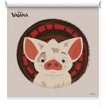 Pua Profile, Moana