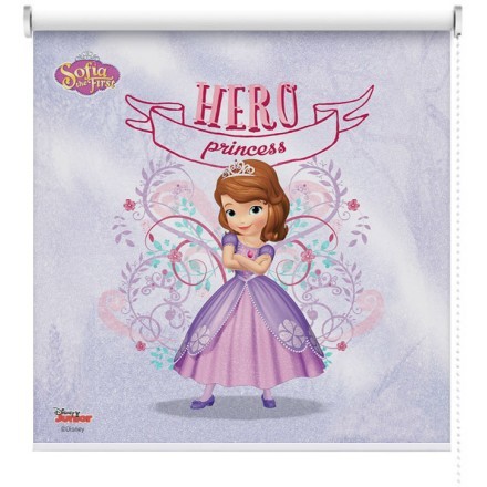 Hero princess! Sofia The First