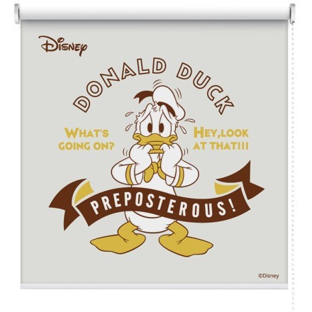 Preposterous, Donald Duck