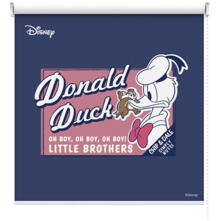 Little Brothers, Donald Duck