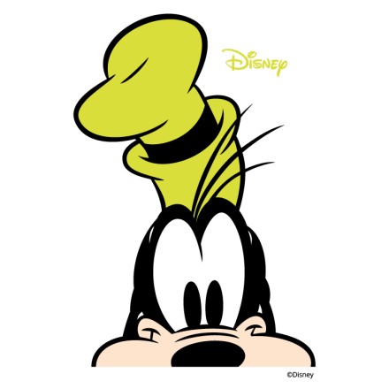 Crazy Goofy!