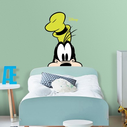 Crazy Goofy!