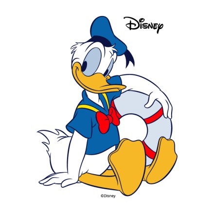Donald Duck !!
