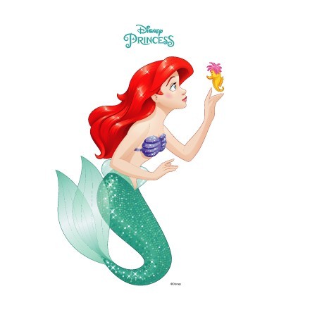 Princess Ariel, the Mermeid!