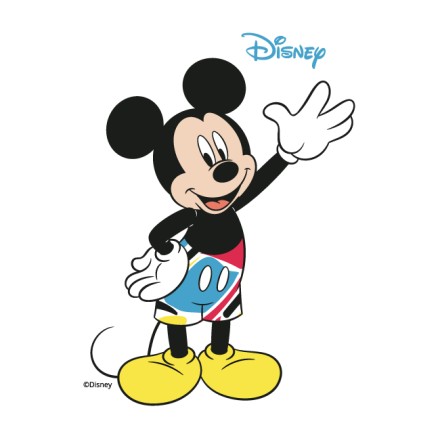 Hi Mickey Mouse