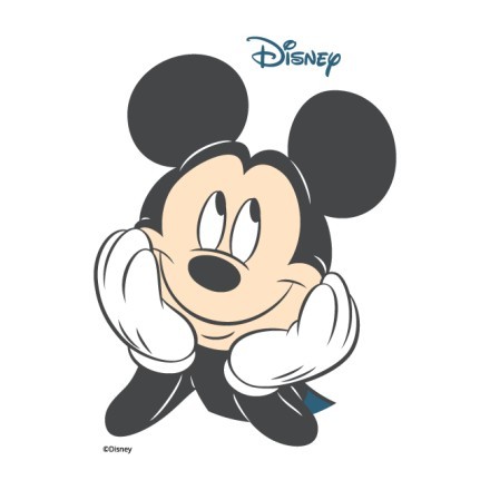 Mickey Mouse !