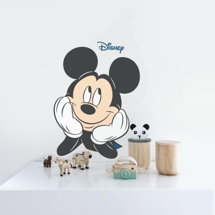 Mickey Mouse !
