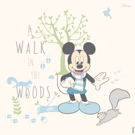 A walk in the woods, Mickey Mouse