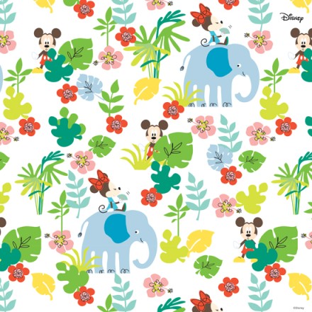 Mickey & Minnie Mouse into the jungle