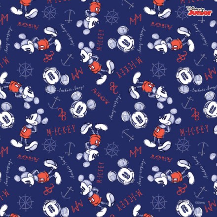 Mickey Mouse Ahoy!