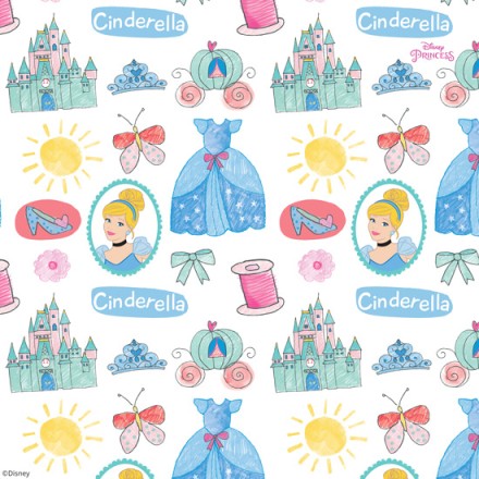 Clothes of Cinderella!