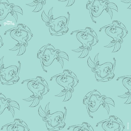 Ariel κολυμπάει, Princess