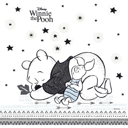 Winnie the Pooh & Piglet