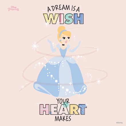 A dream is a wish, Cinderella!