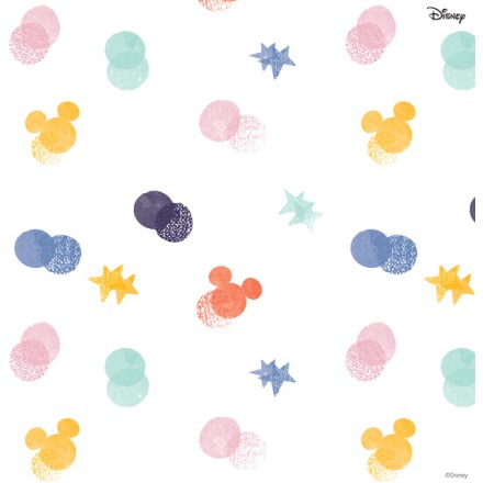Mickey & Minnie Mouse Pattern