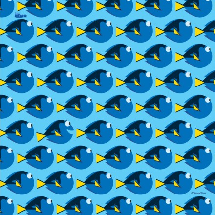Finding Dory