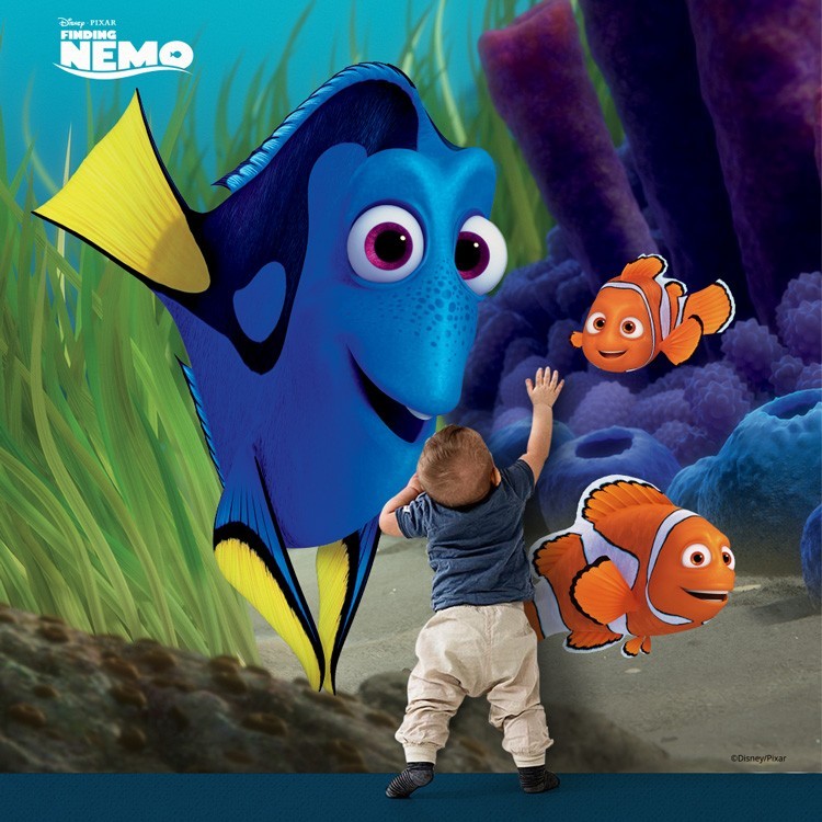 Ταπετσαρία Τοίχου Dory, Nemo & Marlin
