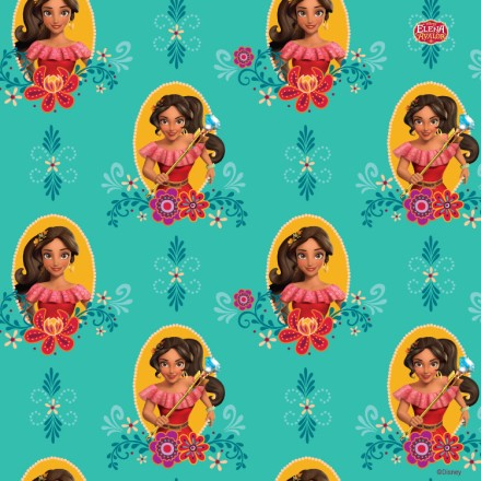 Beautiful Elena of Avalor