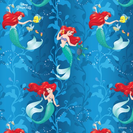 H Ariel στη θάλασσα, Princess