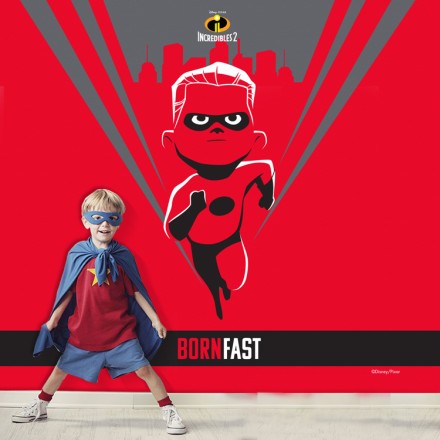 Born Fast, Incredible Dash! Ταπετσαρία Τοίχου