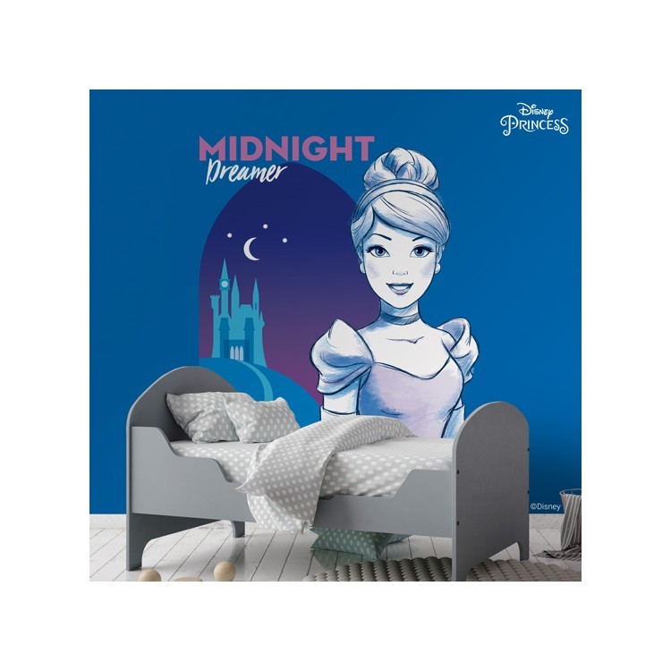 Ταπετσαρία Τοίχου Midnight Dreamer, Cinderella