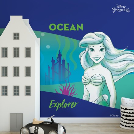 Ocean explore, Princess Ταπετσαρία Τοίχου