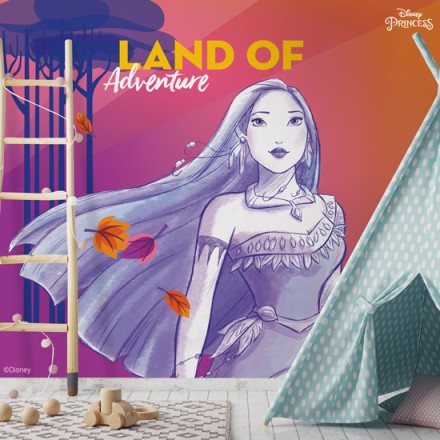 Land of adventure, Princess Ταπετσαρία Τοίχου