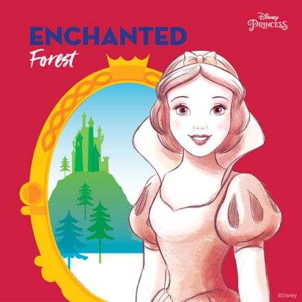 Enchanted forest , Princess