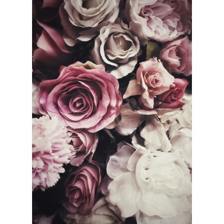 Ροζ και λευκά τριαντάφυλλα - Poster-Αφίσα
