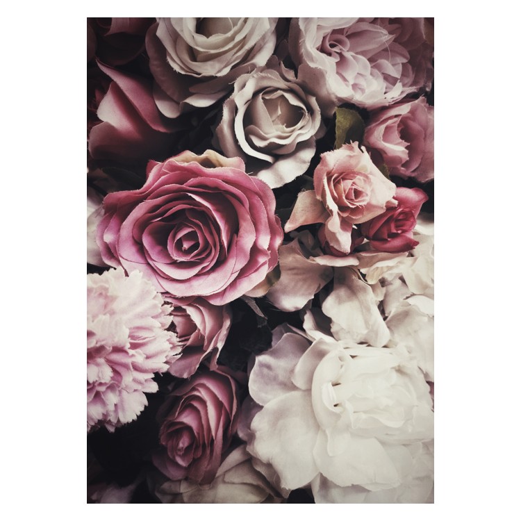 20 x 30 εκ Ροζ και λευκά τριαντάφυλλα - Poster-Αφίσα