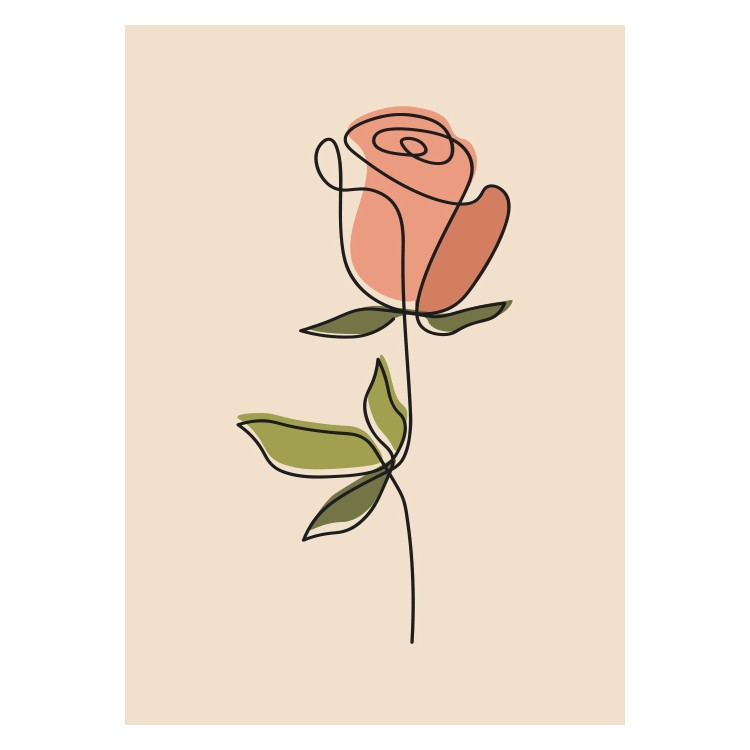 50 x 70 εκ Ροζ τριαντάφυλλο - Poster-Αφίσα
