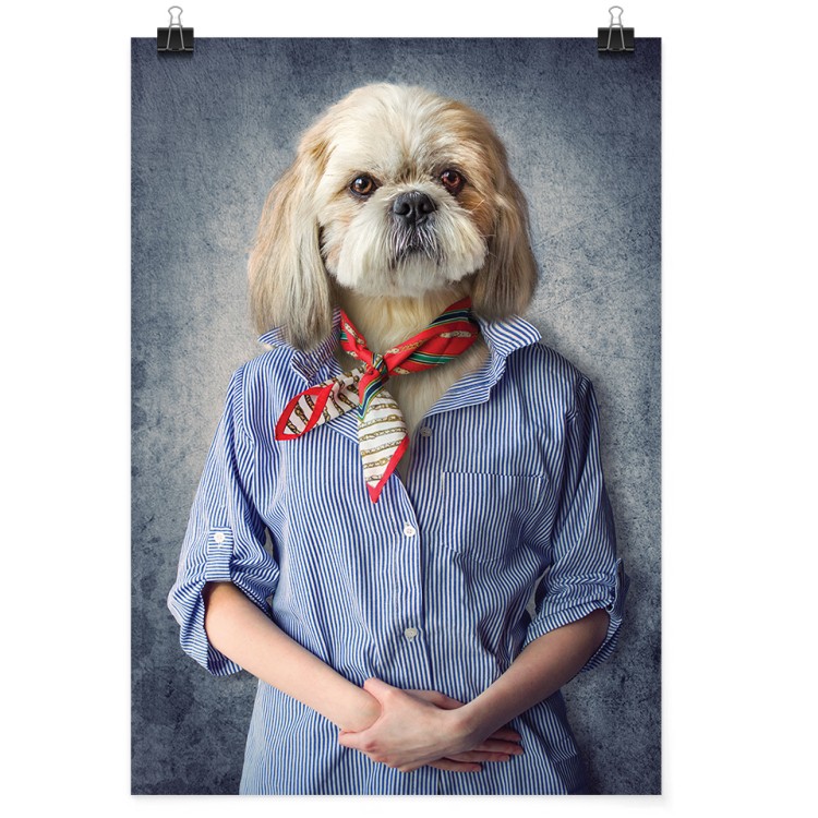 60 x 90 εκ Σκύλος με πουκάμισο - Poster-Αφίσα