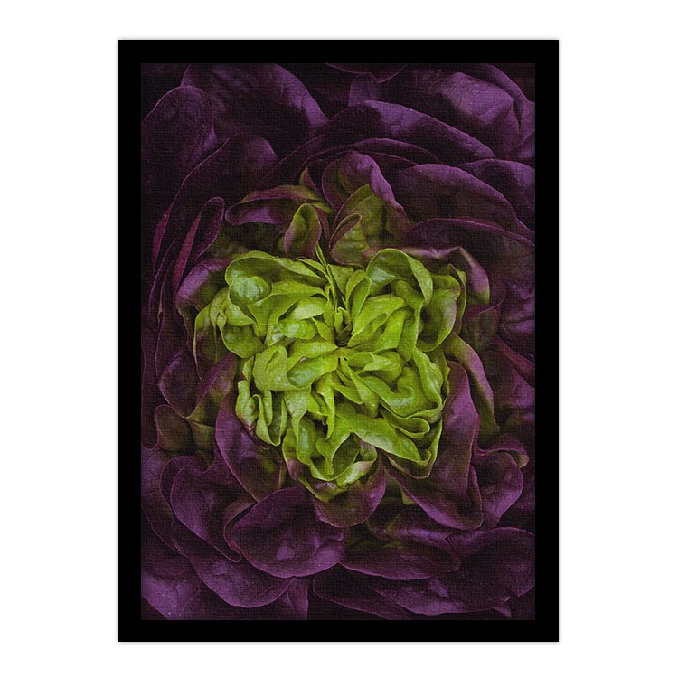 Πίνακας σε Καμβά Πράσινα- μώβ λαχανικά