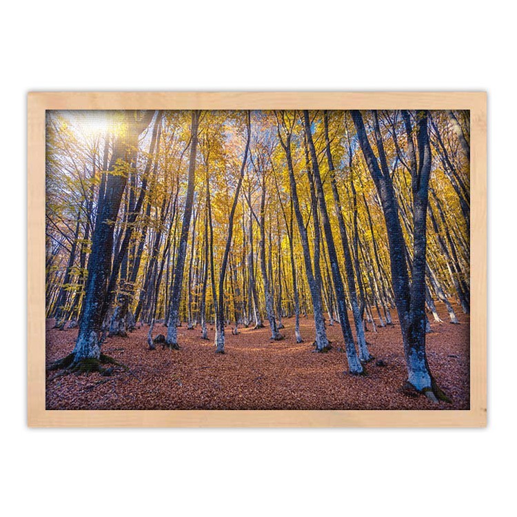 Πίνακας σε Καμβά Κίτρινο Δάσος