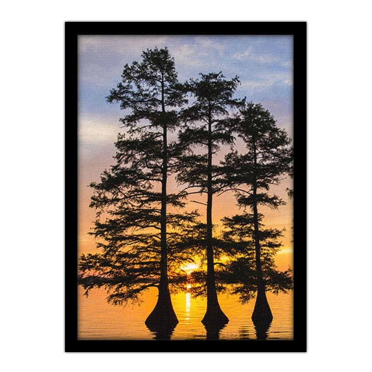 Πίνακας σε Καμβά Δέντρα στο ηλιοβασίλεμα