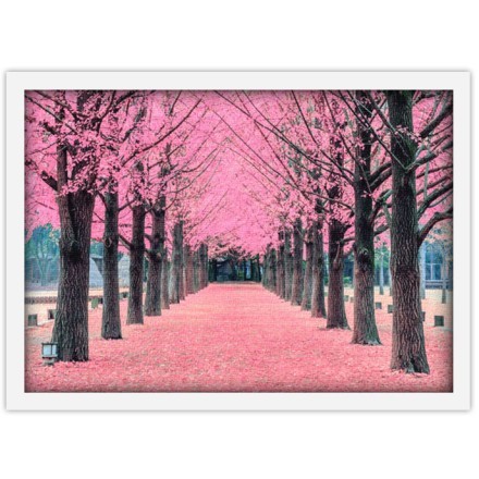 Ροζ δέντρα