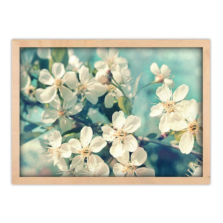 Πίνακας σε Καμβά Λευκά άνθη κερασιάς