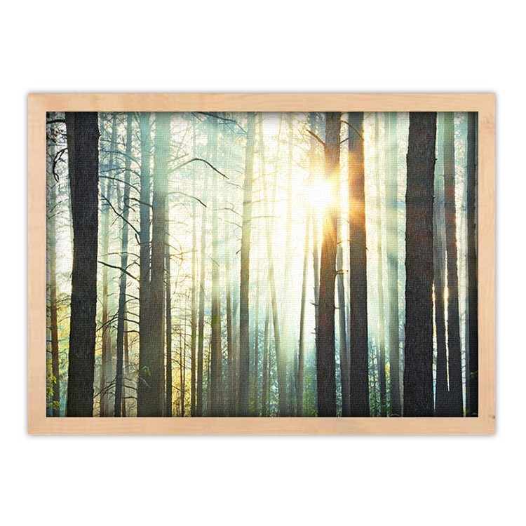 Πίνακας σε Καμβά Ηλιοβασίλεμα στο δάσος