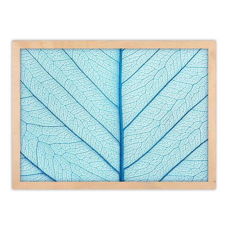 Πίνακας σε Καμβά Γαλάζιο χρώμα φύλλου