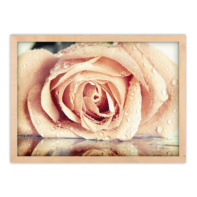Πίνακας σε Καμβά Ρόζ Τριαντάφυλλο