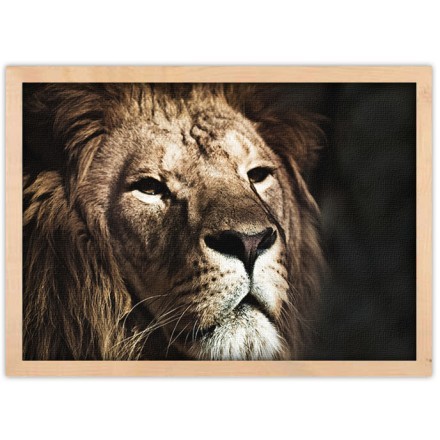 Πρόσωπο λιονταριού Πίνακας σε Καμβά