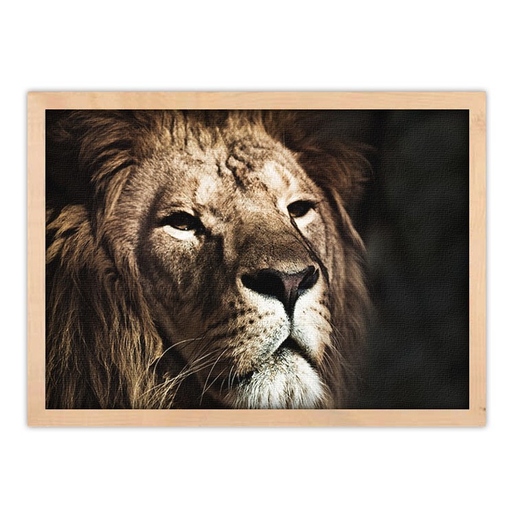 Πίνακας σε Καμβά Πρόσωπο λιονταριού