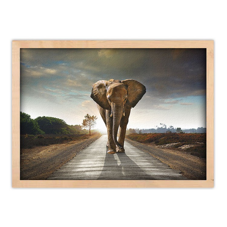 Πίνακας σε Καμβά Ελέφαντας που περπατάει